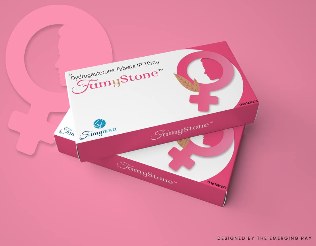 Famystone Packaging Mockup